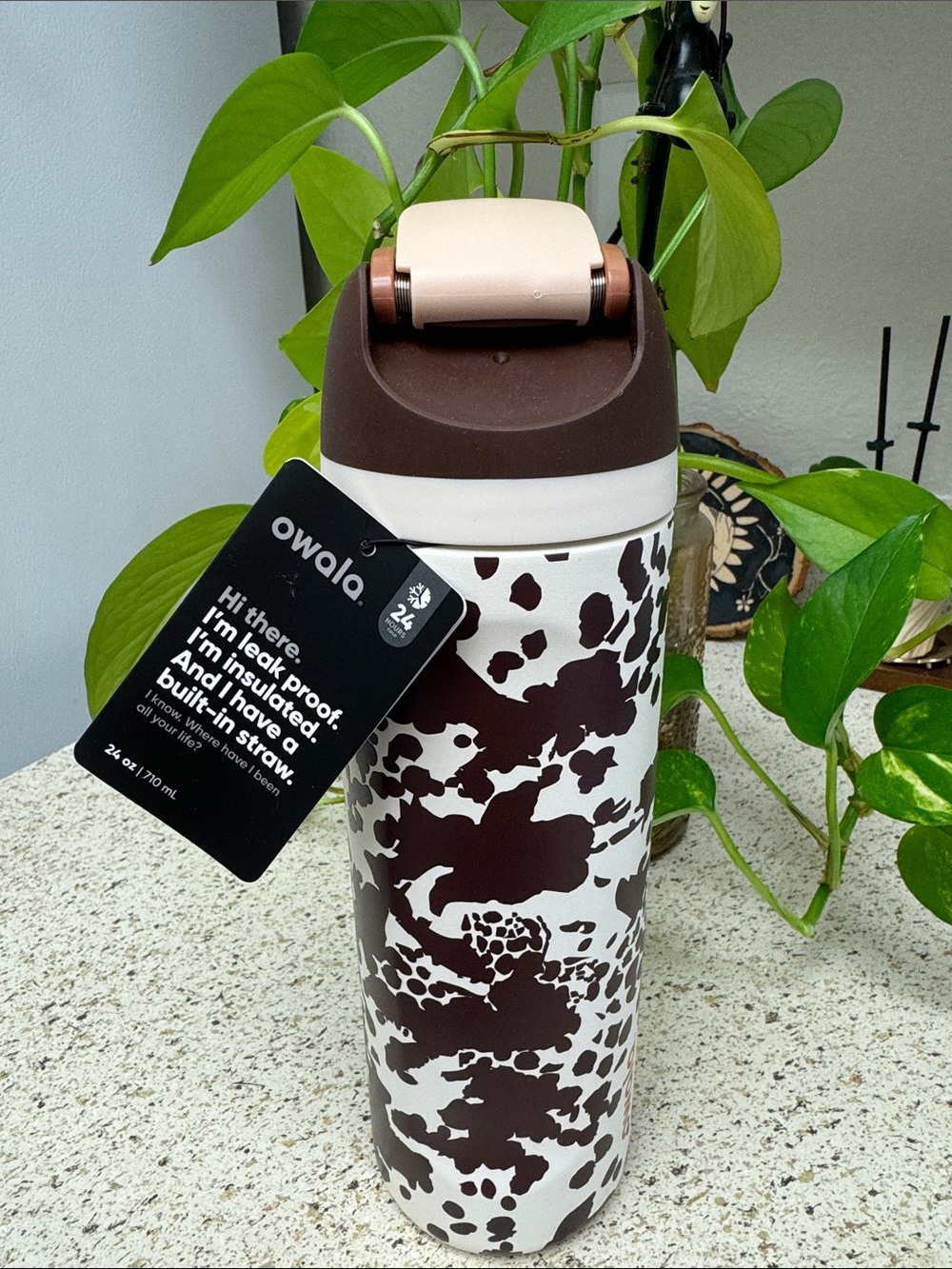 Owala Insulated Water Bottle Limited Edition Cow Print